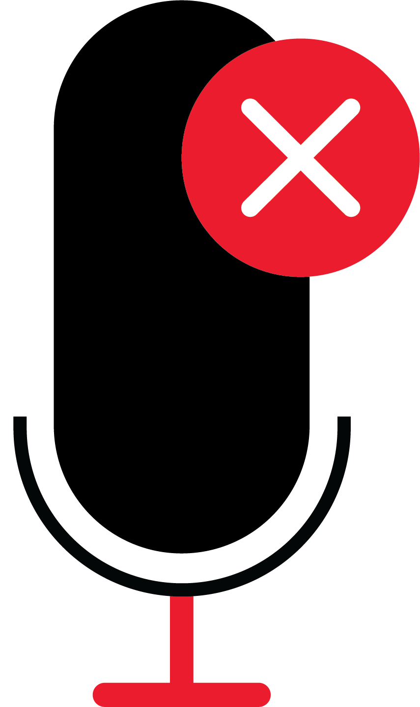 Mic not working